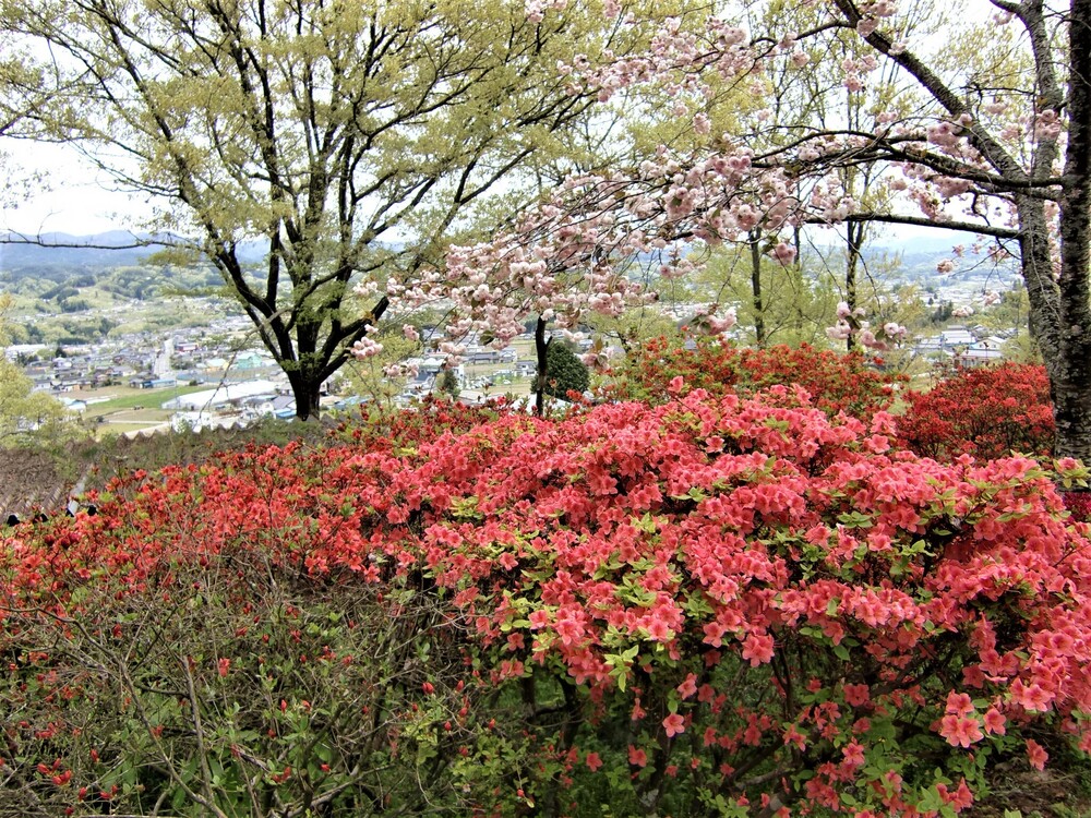 鈴岡城址