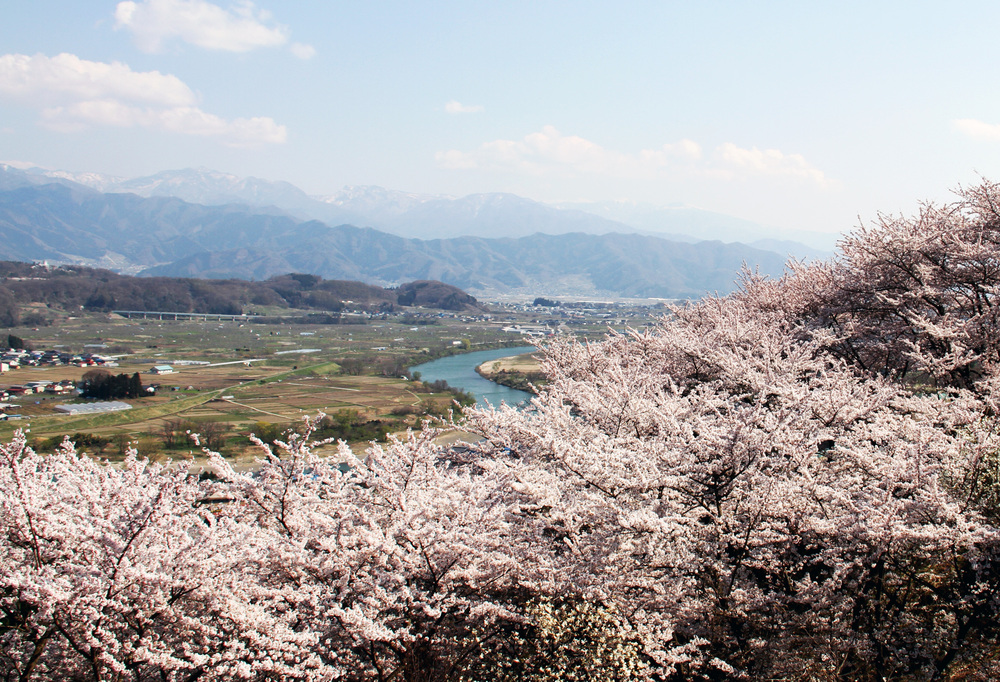 替佐城址