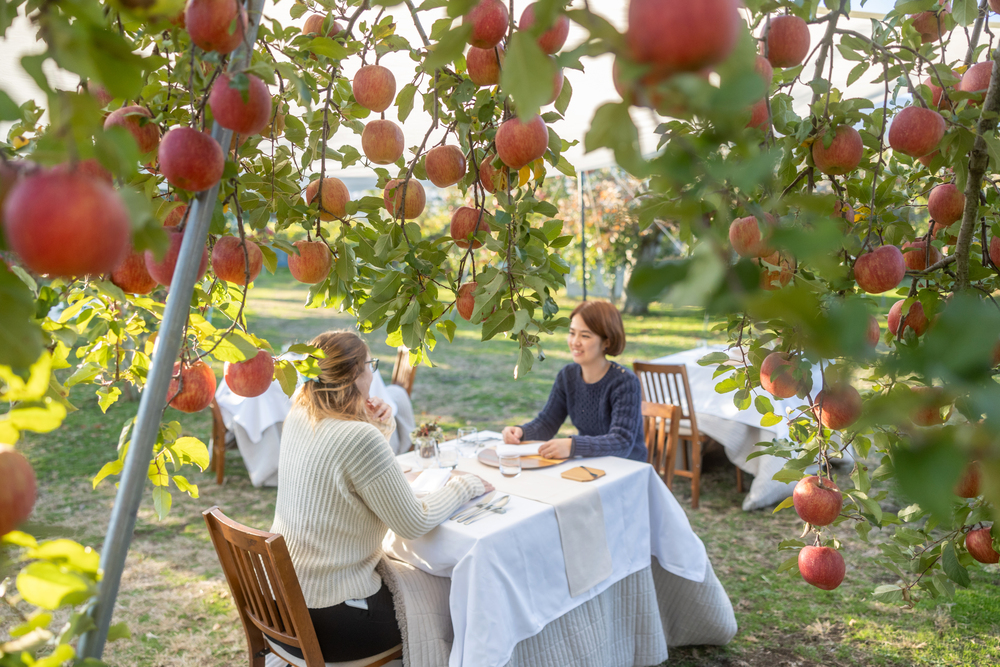 Orchard Restaurant - French cuisine featuring local ingredients served in the heart of the orchard