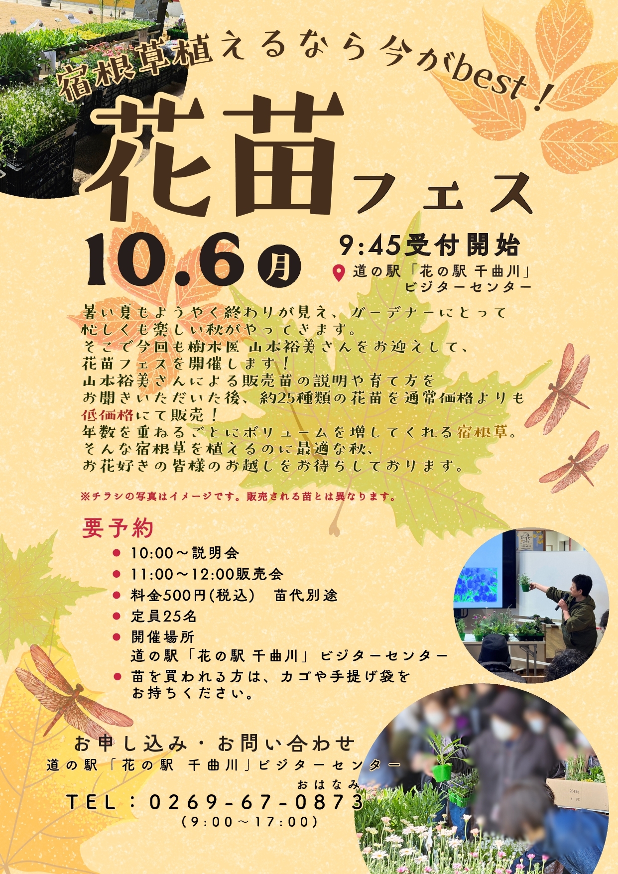 宿根草は今が植えどき！花苗フェス＠道の駅「花の駅 千曲川」
