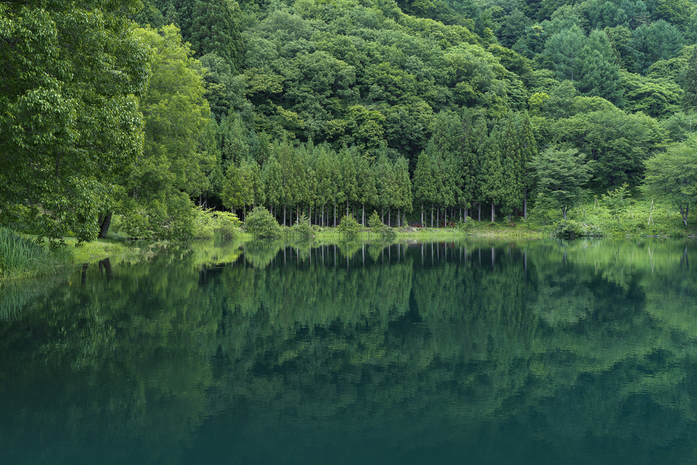 Summer reflection of Lake Nakatsuna1