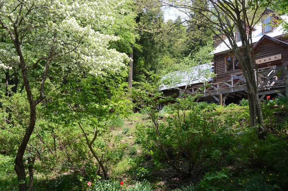 カントリーイン・キャンプ