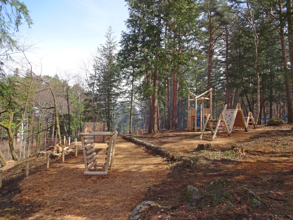 森の中にアスレチック遊具が配置されています1