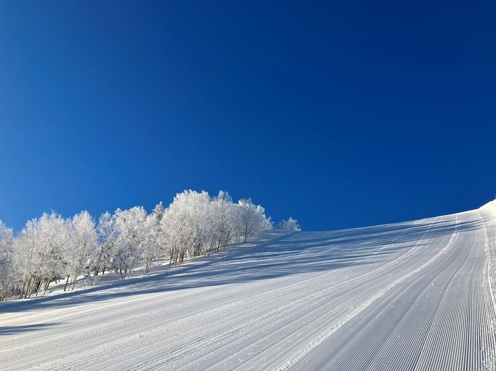 奥志賀高原スキー場