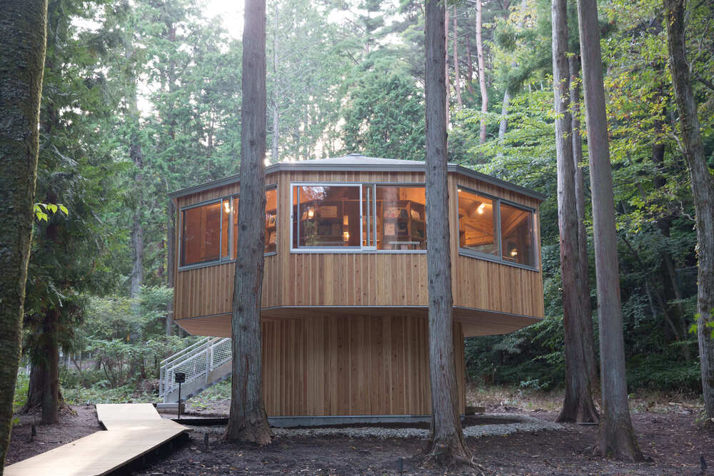 ツリーハウスのような森のライブラリー1