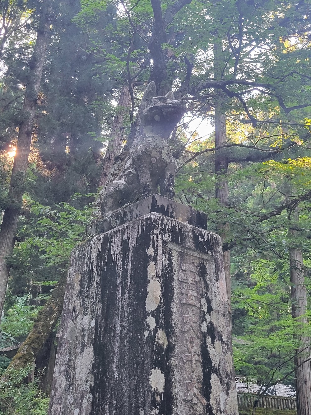 光前寺のゆかりのある霊犬「早太郎」が由来となった温泉1