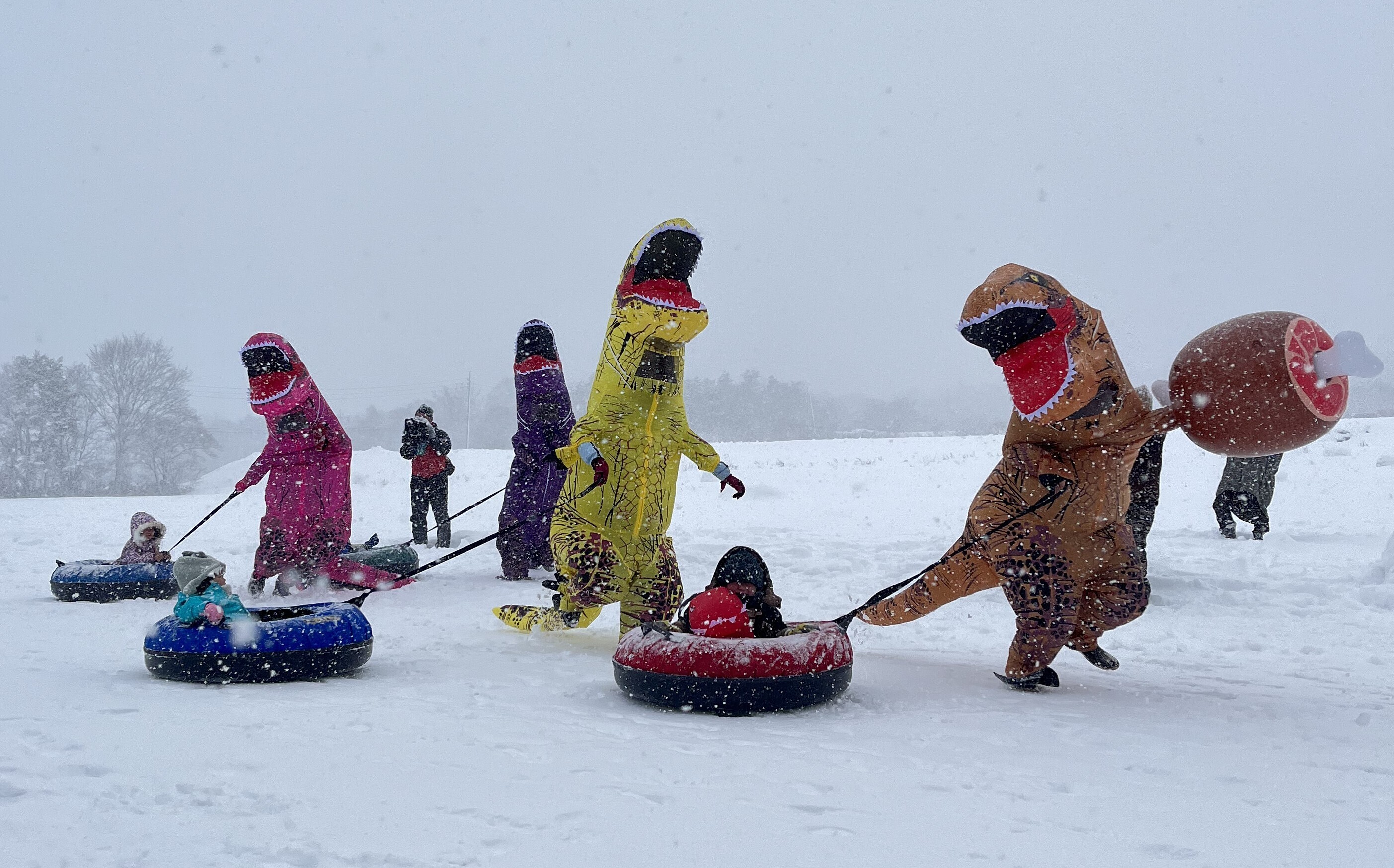 「雪上ティラノサウルスレース」の様子