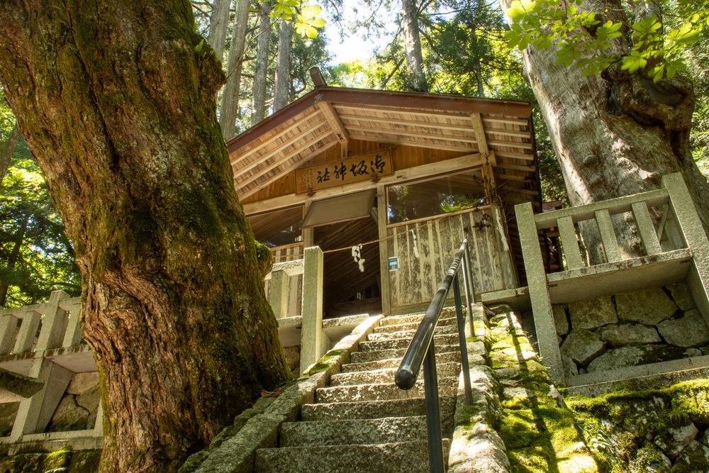 神坂神社