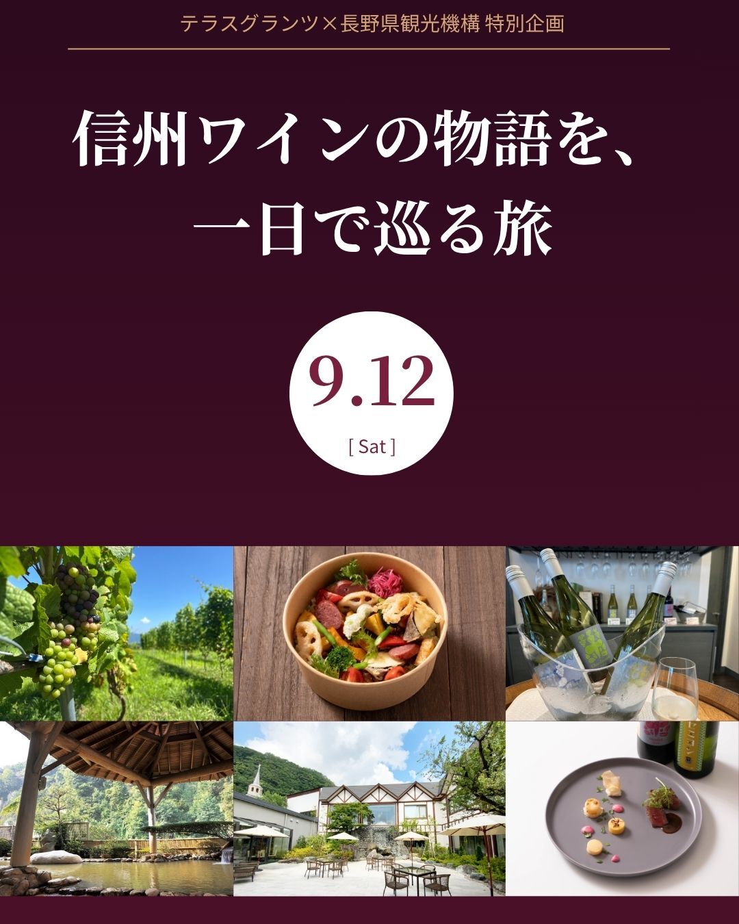 「畑からグラスへ、そして食卓へ。」信州ワインの物語を、一日で巡る。