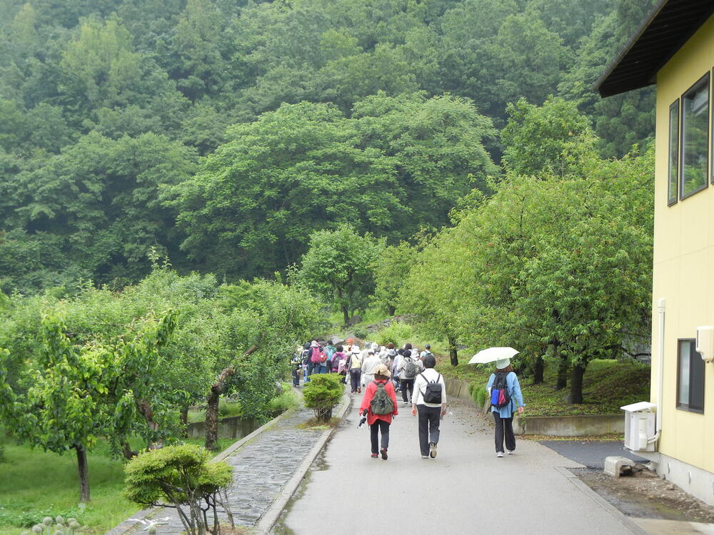 せせらぎ緑道